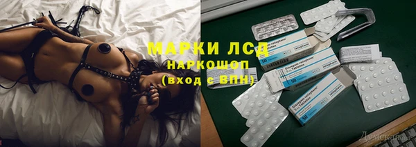 хмурый Сосновый Бор